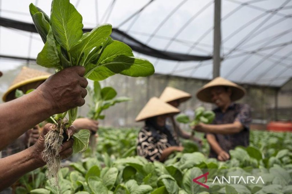 Indonesian students create ice cream using choy sum, stevia