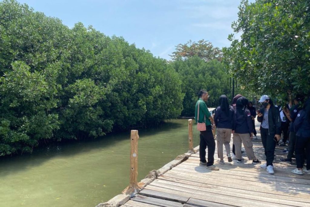 Mengenang Tsunami Aceh: Melestarikan Hutan Bakau untuk Mencegah Tragedi