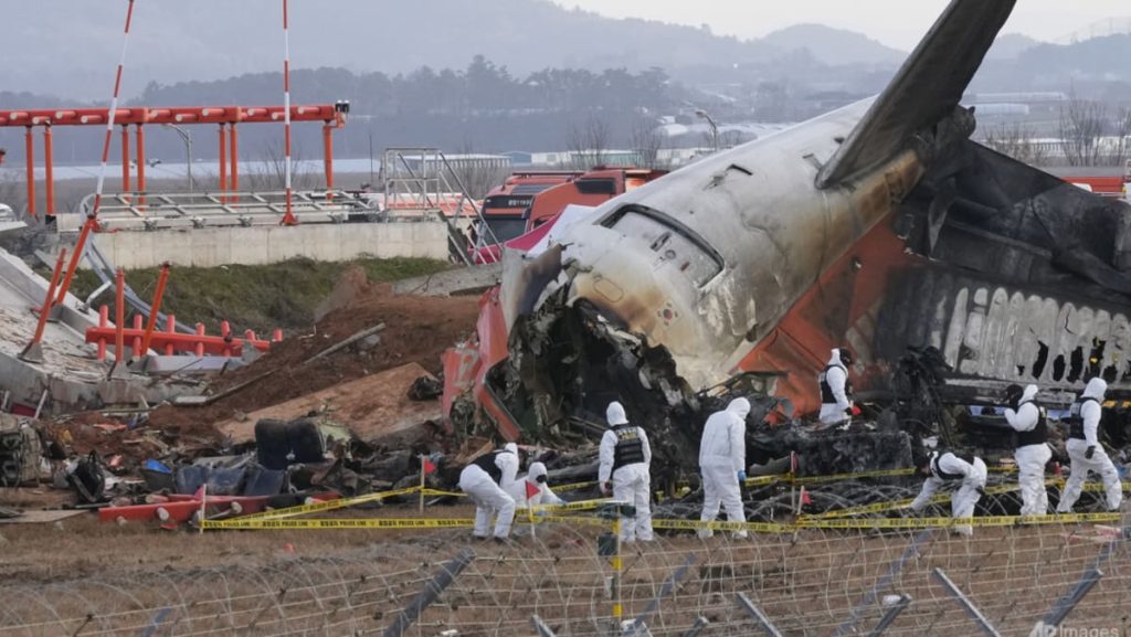 Pertanyaan mengenai tanggul bandara, serangan burung saat kecelakaan Jeju Air Korea Selatan diselidiki