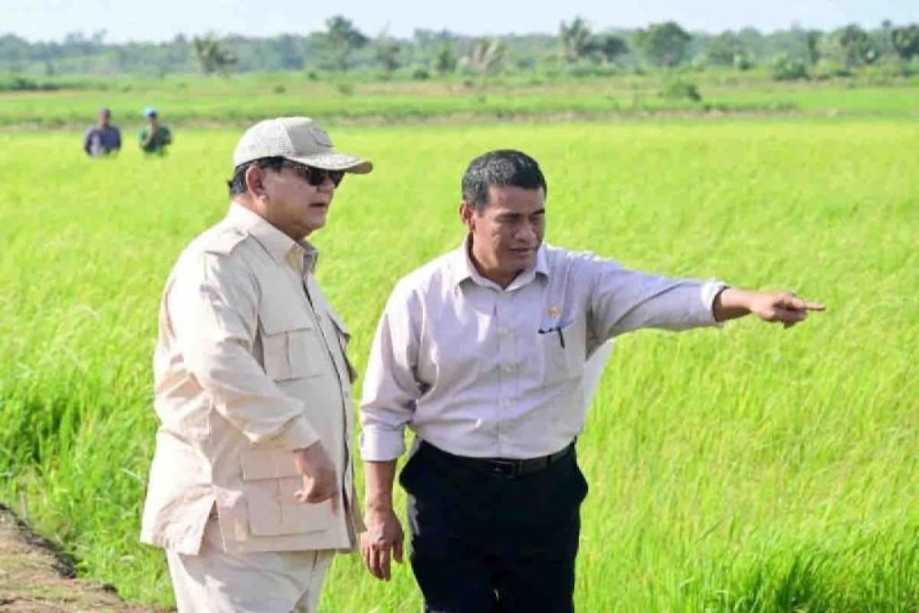 Tidak ada impor beras, garam, gula, dan jagung pada tahun 2025: Presiden