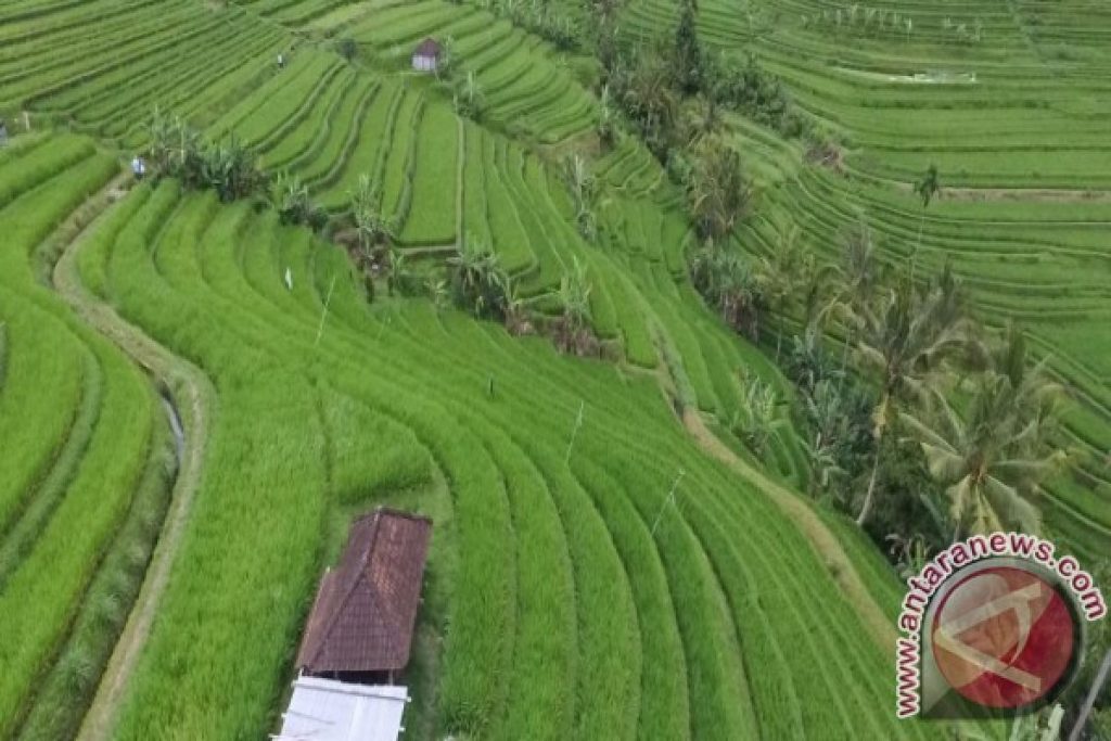 Bali menargetkan 6,5 juta kunjungan wisman pada tahun 2025