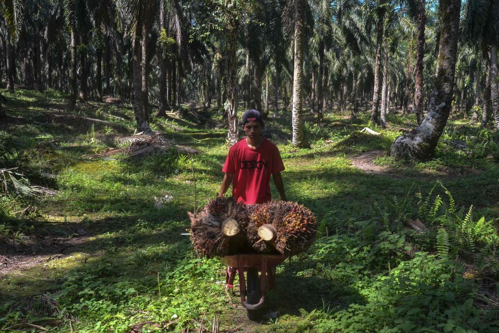 Indonesia menekan perusahaan komoditas dengan aturan pendapatan