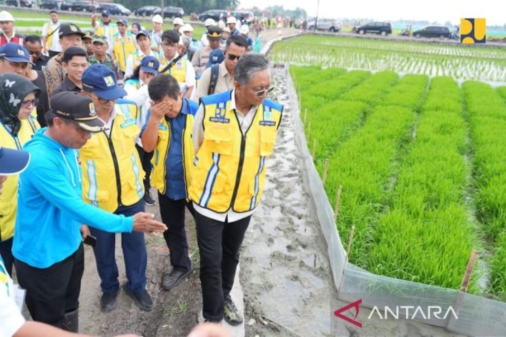 Indonesia mengincar pertanian hemat air untuk meningkatkan produksi beras