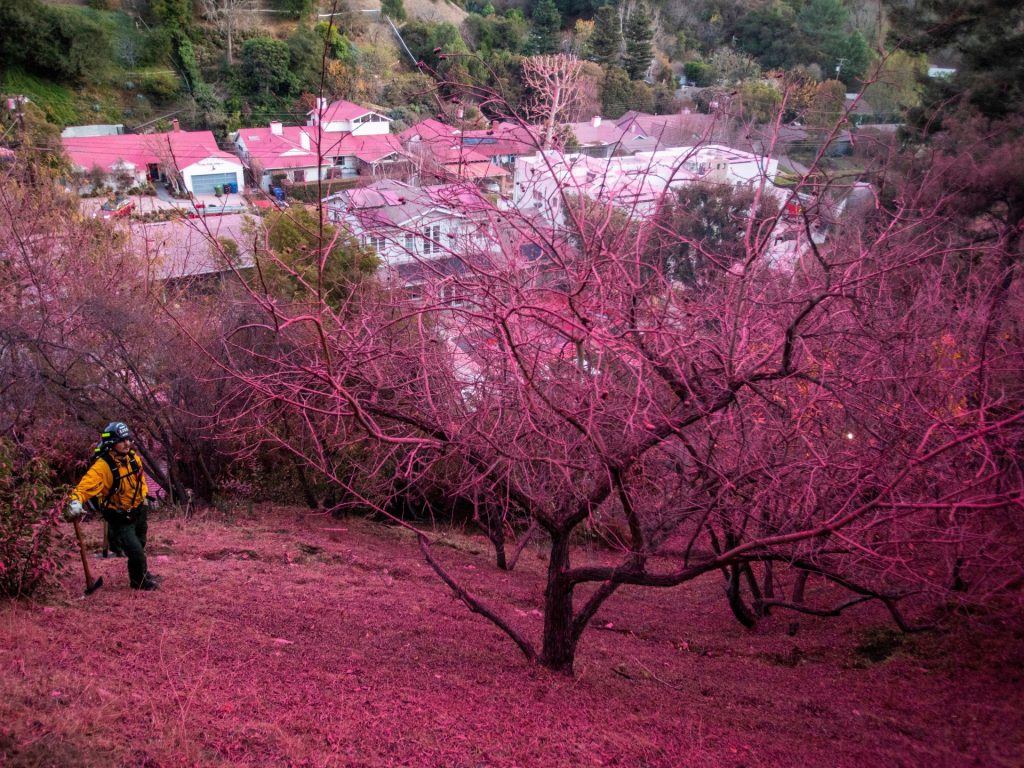 Kebakaran hutan Los Angeles hari ke-8: Apa kabar terkini dan apa yang akan terjadi selanjutnya saat angin bertiup kencang? | Berita Lingkungan