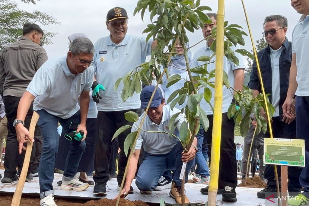 Kementerian Indonesia menanam 2.450 pohon untuk memulihkan Sungai Ciliwung