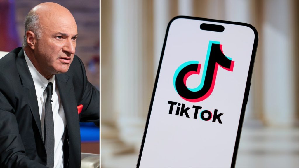 Kevin O’Leary mengajukan tawaran tunai TikTok senilai  miliar: ‘Situasi paling menarik, rumit, dan gila’