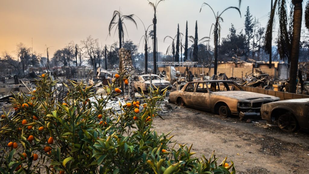 Korban kebakaran hutan di California mungkin memenuhi syarat untuk menerima pembayaran FEMA sebesar 0 satu kali