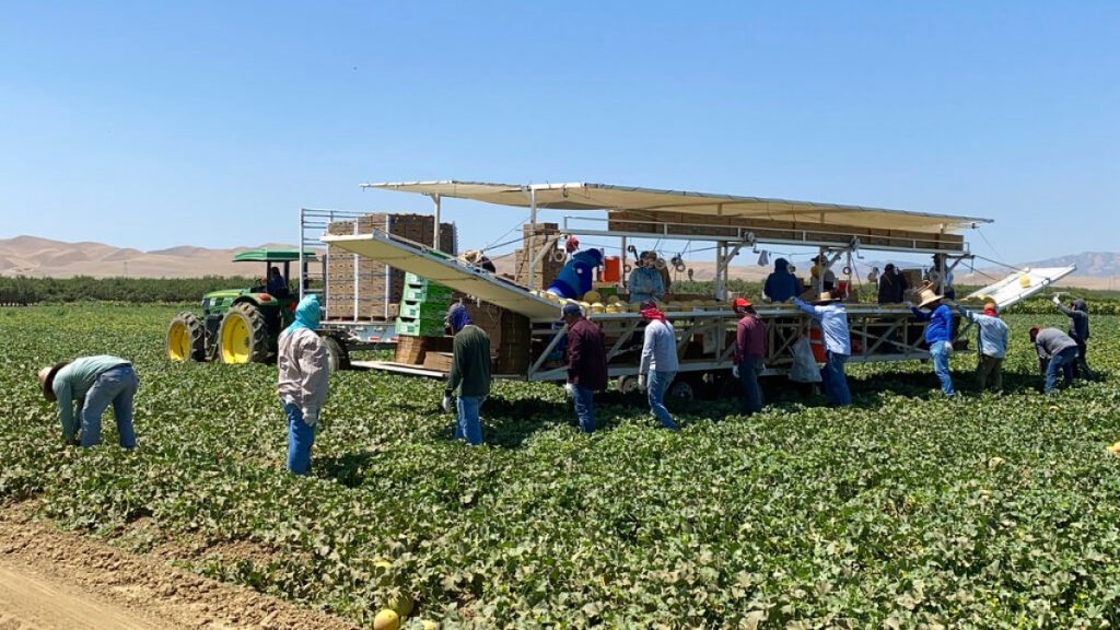 ‘Lapangan terpencil’: Serangan migrasi menimbulkan rasa dingin di seluruh pedesaan California | Berita Migrasi