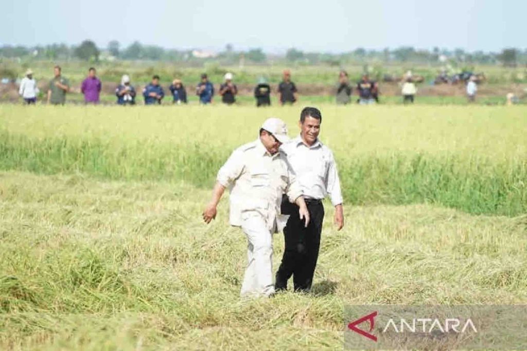 Memberdayakan petani, modernisasi pertanian untuk ketahanan pangan