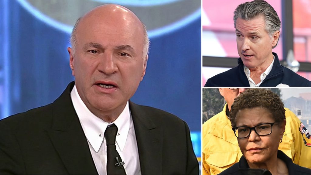 O’Leary tentang bantuan kebakaran hutan: ‘Tidak sepeser pun’ untuk Gavin Newsom, Karen Bass sampai mereka dicopot dari jabatannya