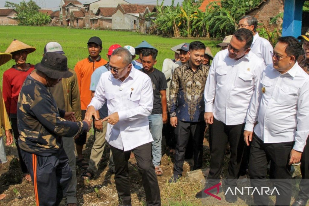 Pemerintah akan memperbaiki sistem irigasi di Jawa Timur: menteri