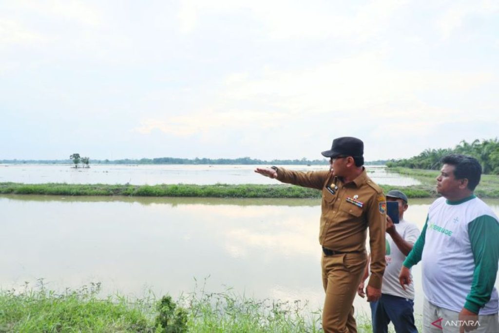 Pemerintah dorong normalisasi saluran irigasi untuk kecukupan pangan