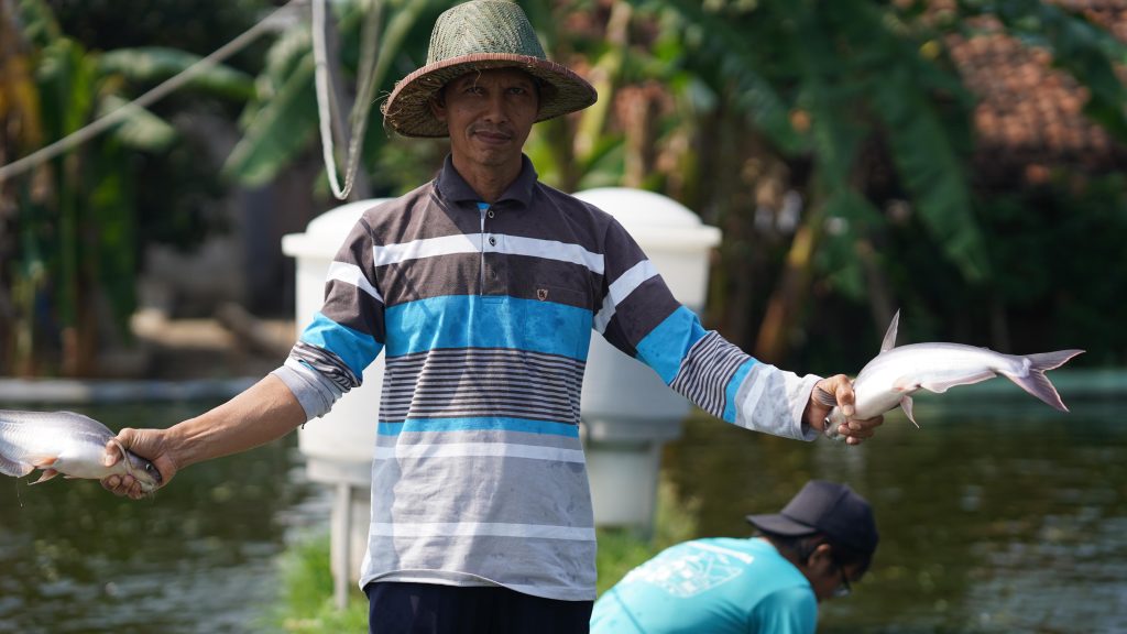 Protes pekerja menjerumuskan eFishery unicorn Indonesia ke dalam kekacauan di tengah tuduhan penipuan dan skandal pendapatan