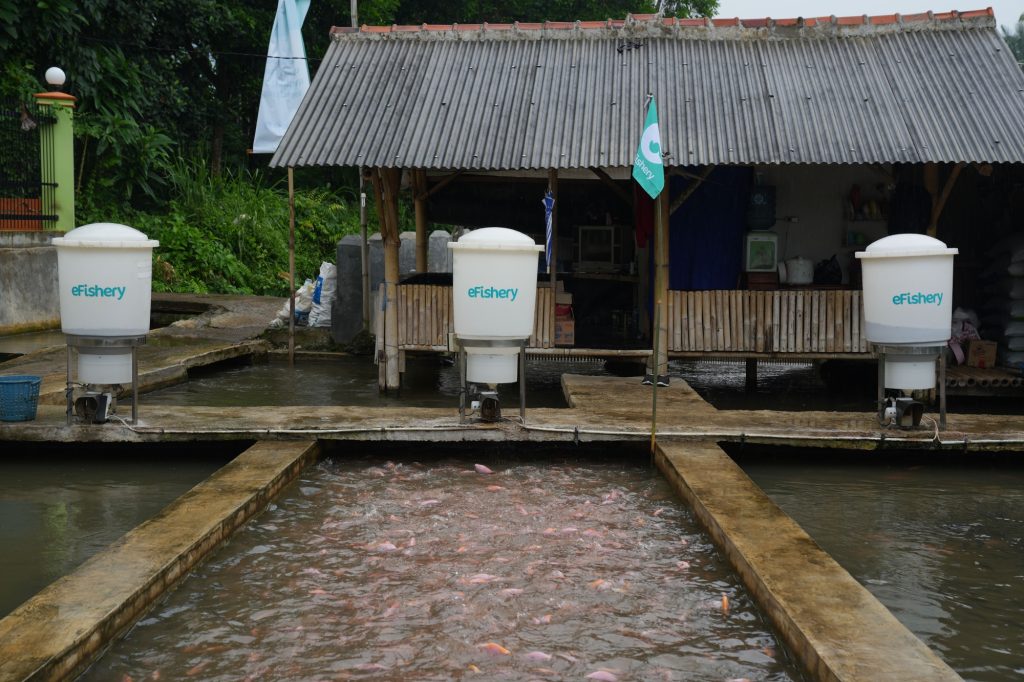 Pendiri Efisher, mantan CEO Gibran Huzaifah membahas skandal penipuan untuk pertama kalinya