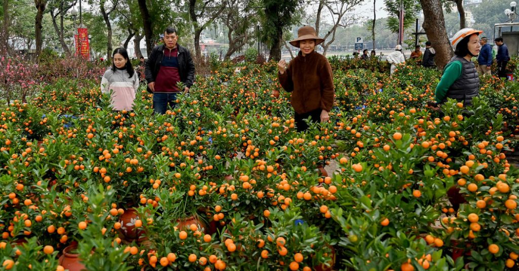 Topan Yagi mengacak tradisi tahun baru Vietnam