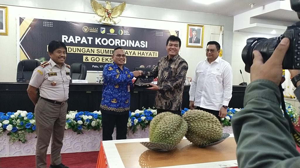 Barantin Bahas Persiapan Ekspor Durian Segar Keongkok Dalam Rakor Di Sulteng