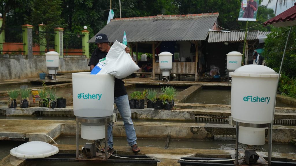 Dampak skandal terhadap ekosistem yang sudah ada di air yang dalam