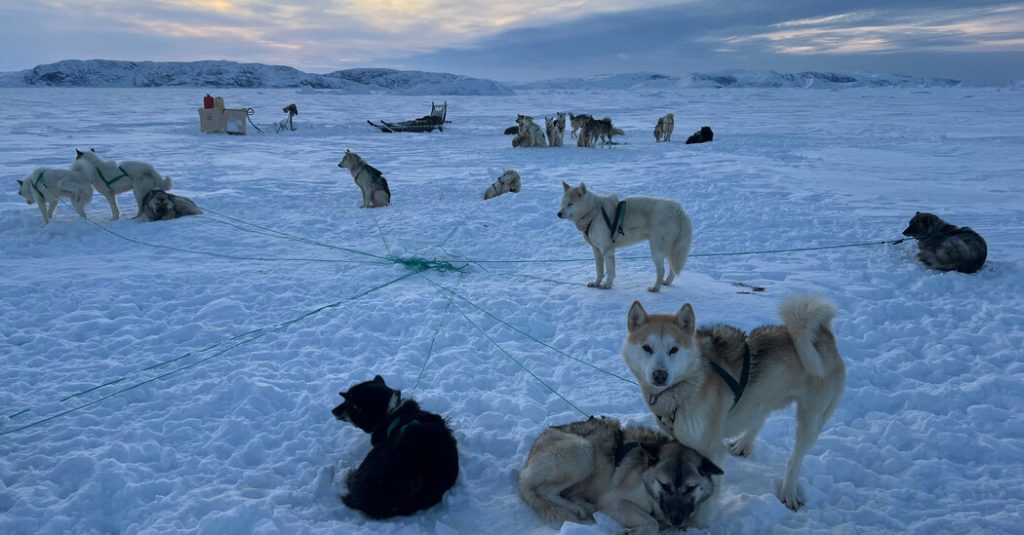 Di Greenland, mengambil semuanya dengan joging salju dan kereta luncur anjing