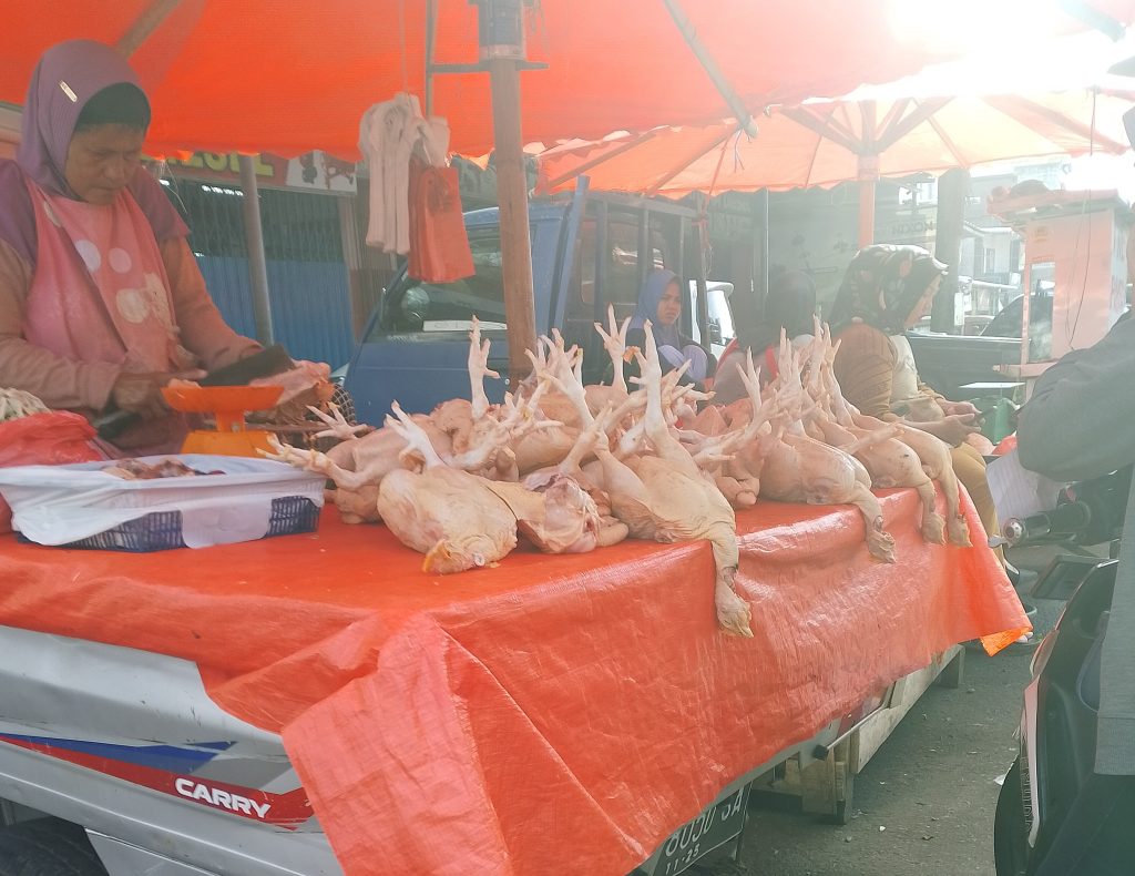 Harga Ayam dan Komoditas Cabai di Bengkulu, Stabil