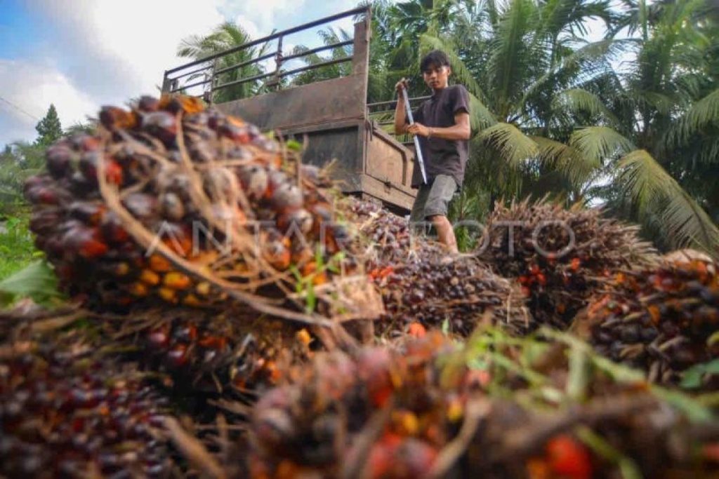 Indonesia menekankan minyak kelapa sawit yang berkelanjutan untuk makanan, keamanan energi