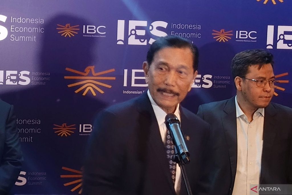 Indonesia working on national AI service: Pandjaitan