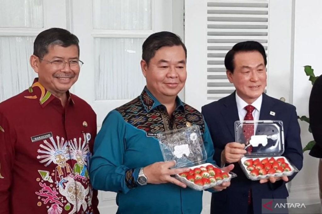 Jakarta, Kota Nonsan Korea yang menyelenggarakan Festival Strawberry