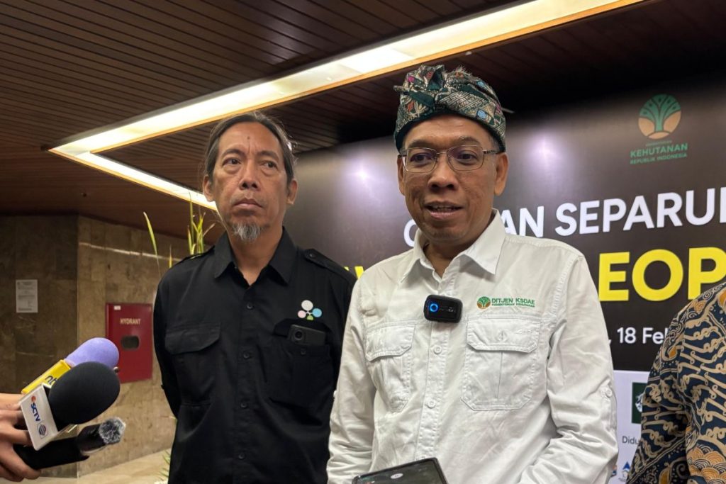 Konservasi Leopard Javan dapat menguntungkan penduduk setempat: Kementerian