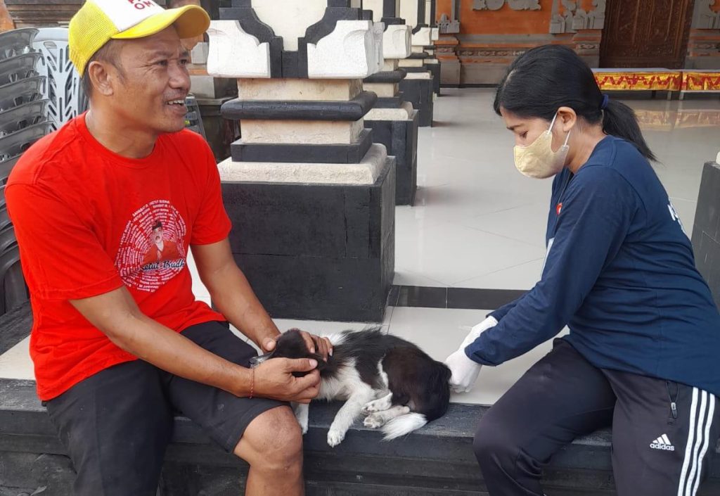 PEMKOT DENPASAR AKAN FESTIVAL GELAR ANJING DALAM RANGKA CEGAH PENARANAN RABIES