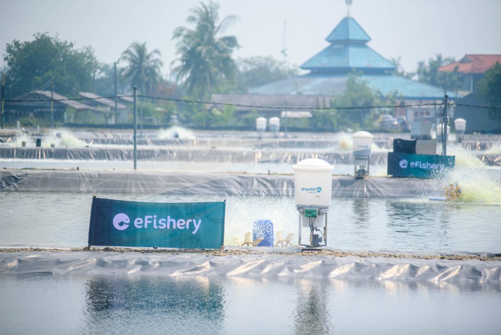 Skandal Efisher Indonesia memicu kekhawatiran akan perhitungan yang lebih luas untuk Agritech