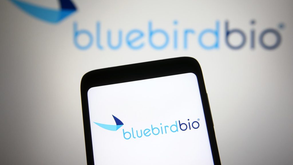 Terapi gen bio bluebird menjual dirinya sendiri ke Carlyle dan SK Capital