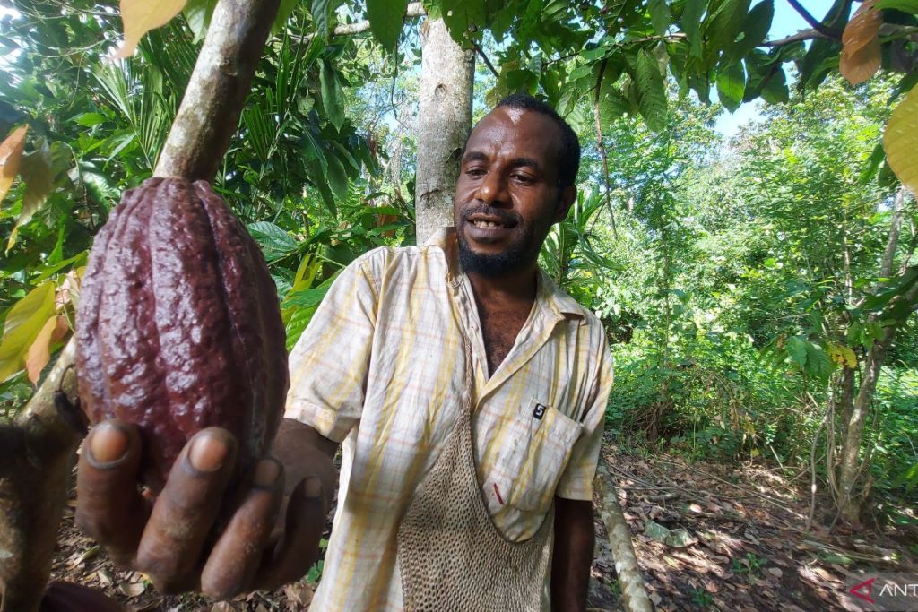 Valentine ini, Krisis Cocoa menyajikan tantangan pahit