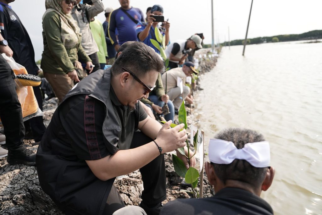 2.400 Bibit Pohon Mangrove Disebar di Kecamatan Legonkulon, Subang