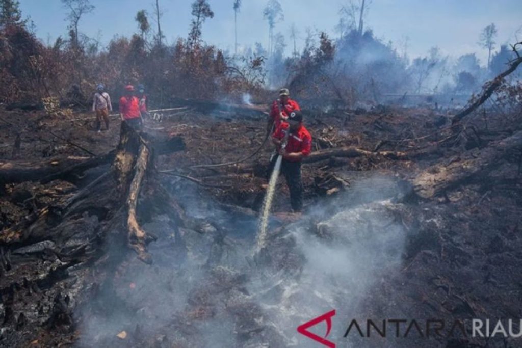 BMKG, Kementerian Diskusikan Pencegahan Awal Hutan, Kebakaran Tanah