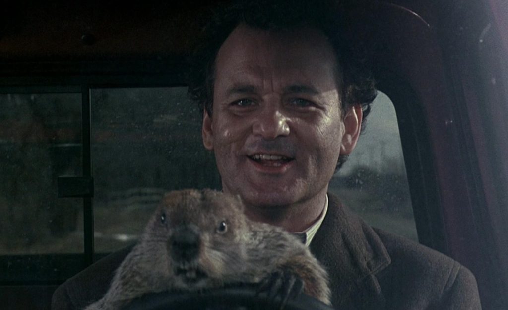 Bill Murray Digigit Groundhog Di Lokasi Syuting Groundhog Day