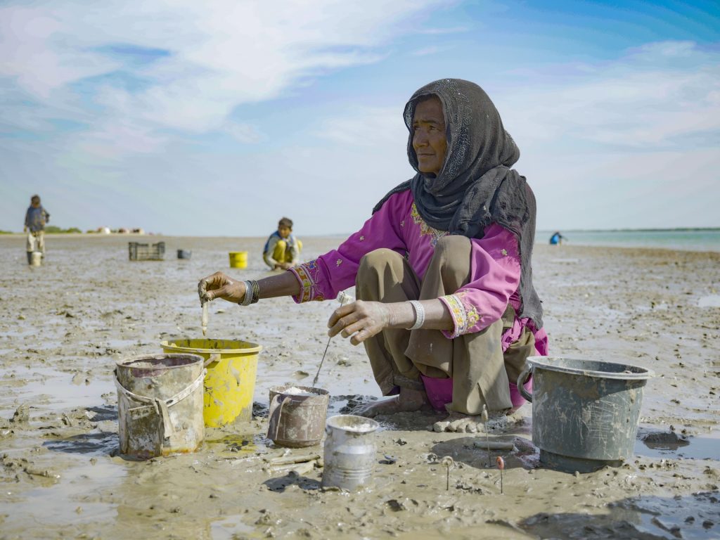 Ditelan oleh laut, Delta Indus Pakistan sekarang terancam oleh kanal | Berita Air