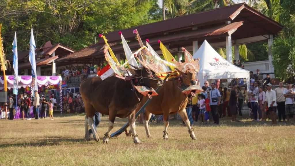 Festival Dua Buleleng Masuk Karisma Event Nusantara 2025