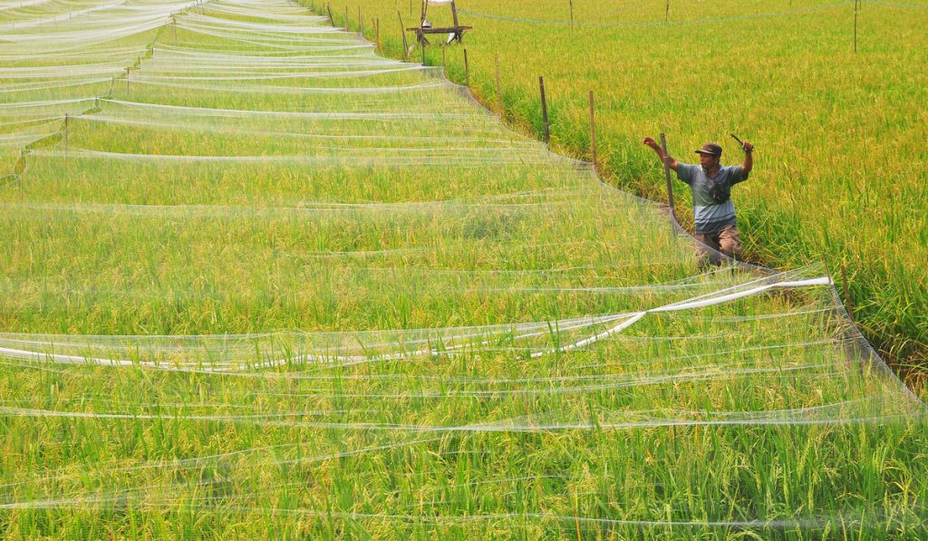 Inovasi Berbasis Sains Dibutuhkan