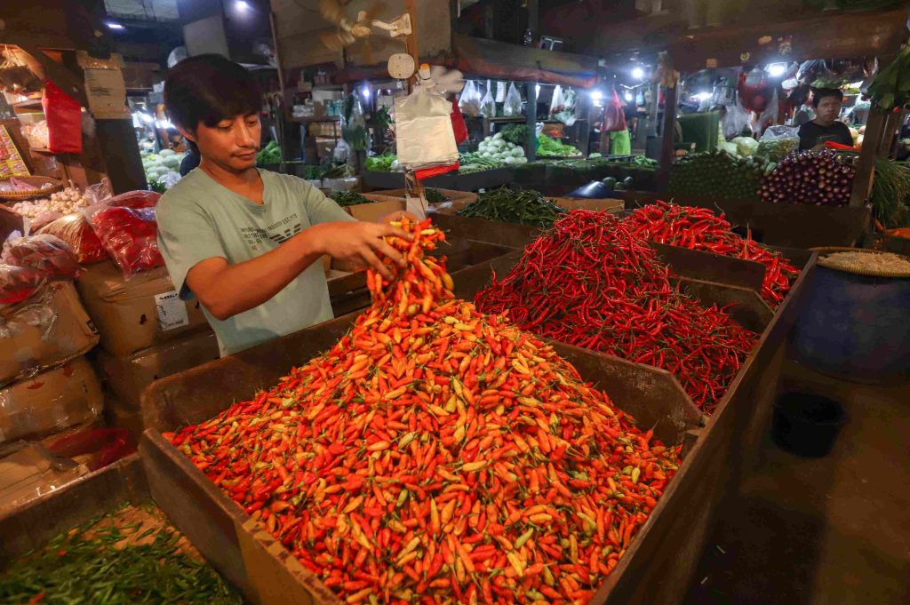 KEMENTAN PASTIKAN PASOKAN DAN HARGA CABAI Segera Kembali Normal di ntb