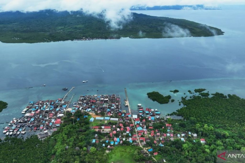 Kementerian menyelidiki pembantaian lumba -lumba di SE Sulawesi