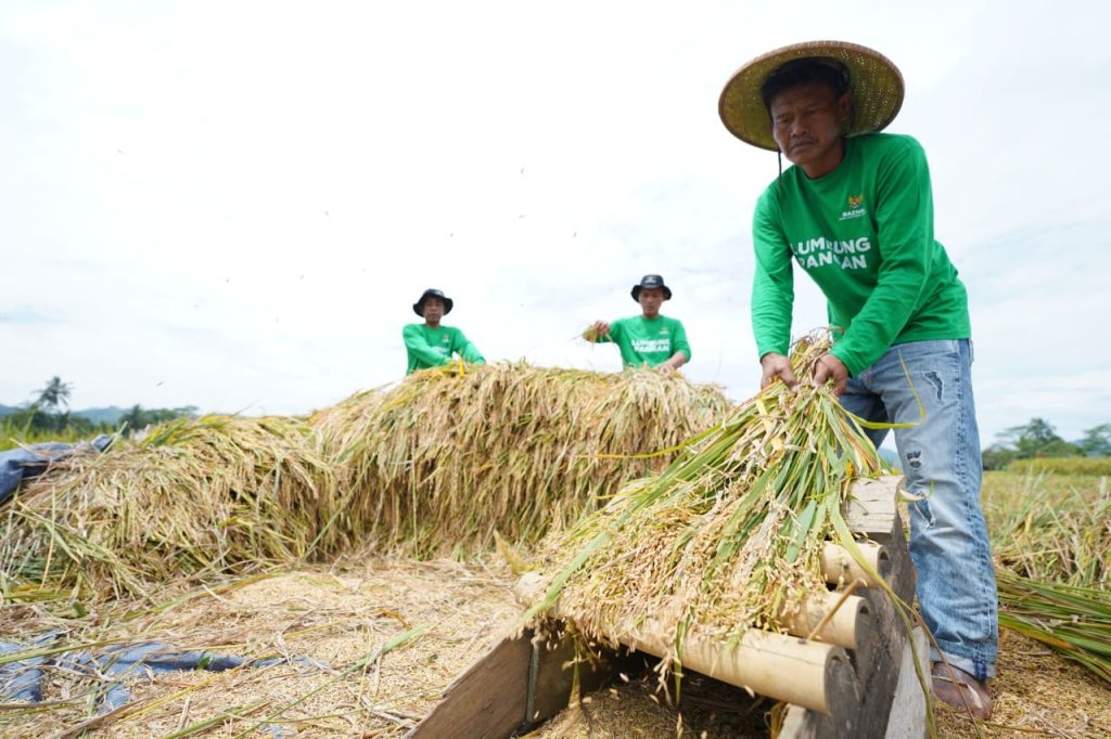 Lumbung Pangan Baznas Sukabumi Supplai 133,7 ton Beras Zakat Fitrah