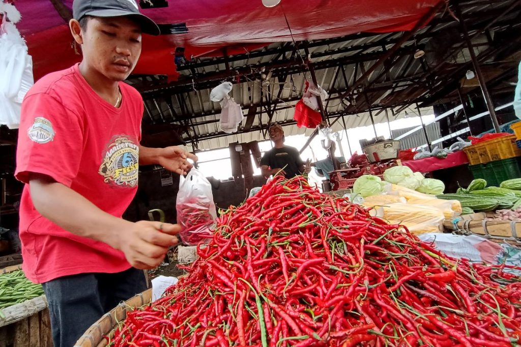 Model Pemerintah Siapkan Rumah Green Pertanian Tantu Tanaman Cabai