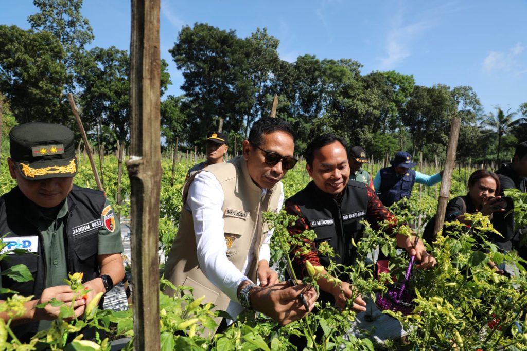 Panen Cabai tak Mampu Tekan Harga di Pasar