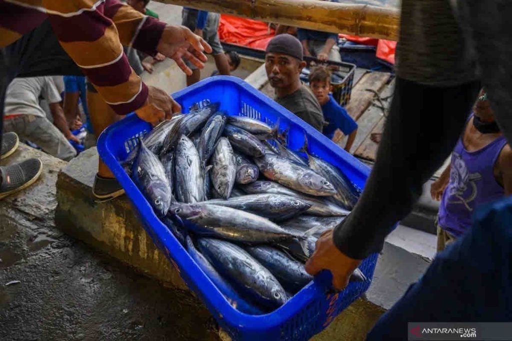 Pemerintah RI menjamin pasokan ikan yang cukup dan aman untuk Ramadhan, Idul Fitri