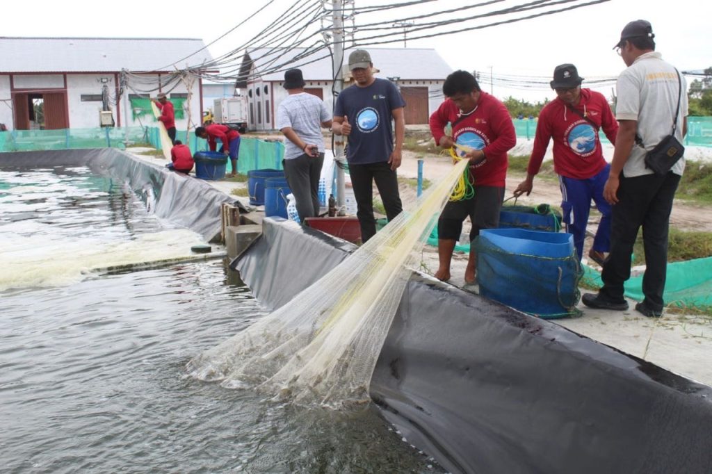 Shrimp Estate Didorong Hasilkan PAD dan Serap Tenaga Kerja di Kalteng