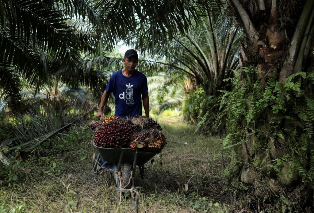 Surplus perdagangan Februari Indonesia melampaui ekspektasi, tetapi risiko tampak