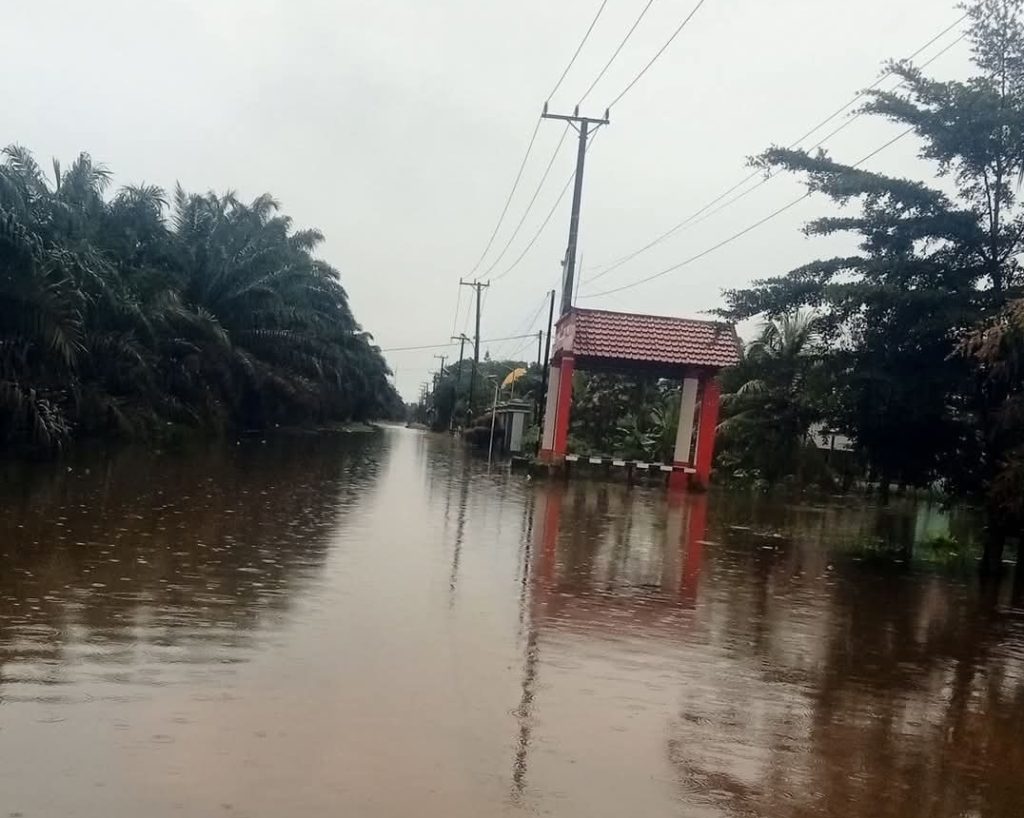 Tanggul Sungai Jebol dan Meluap, Sejumlah Kecamatan di Grobogan Kembali Dilanda Banjir