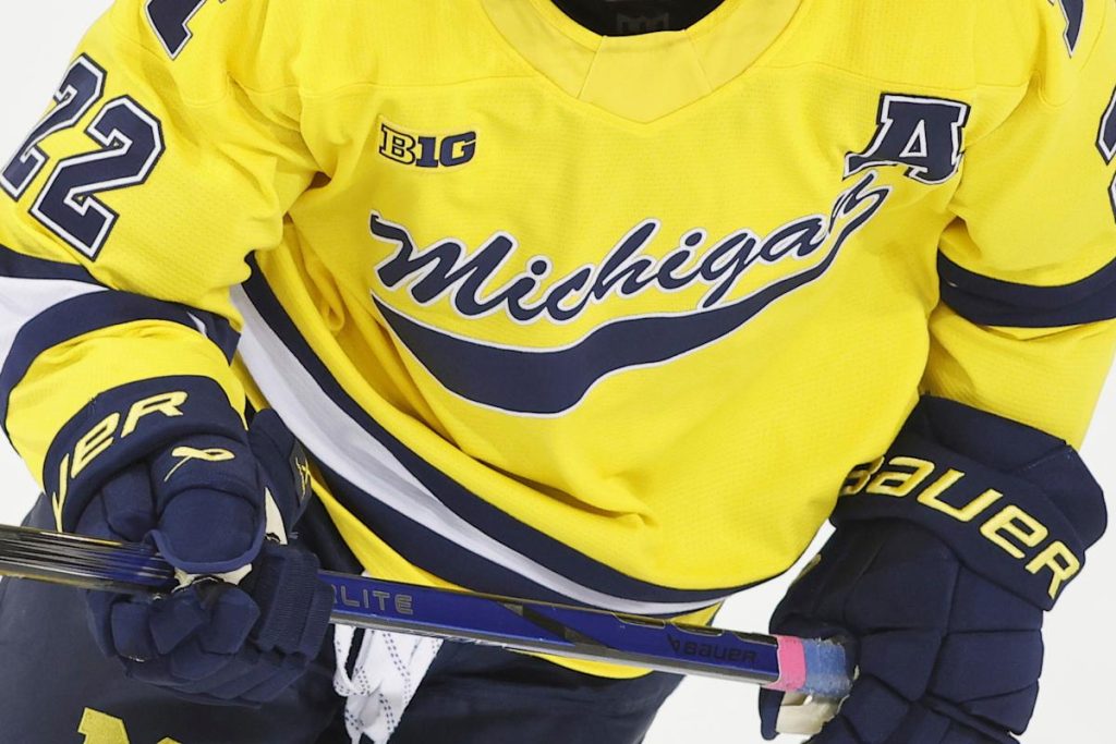 Tawaran untuk meluncurkan hockey wanita di Michigan bergerak maju, Bupati Denise Ilitch memberi tahu AP